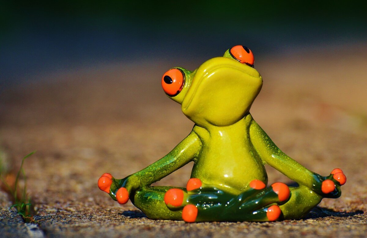 Yoga Frosch Entspannungskurs Progressive Muskelrelaxation